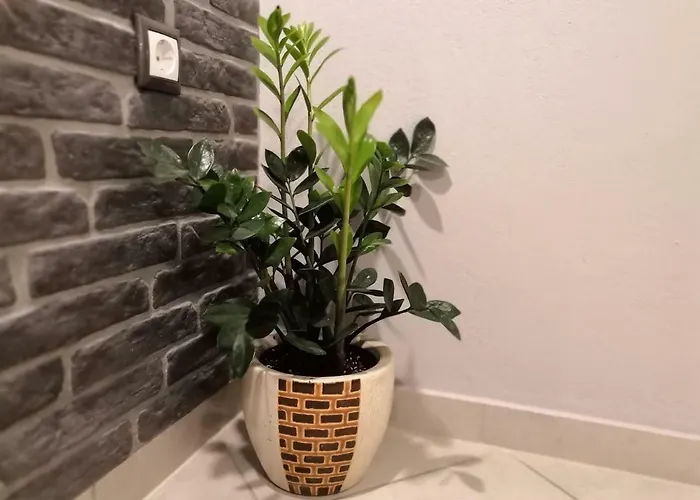 Gekas Deluxe Apartament *